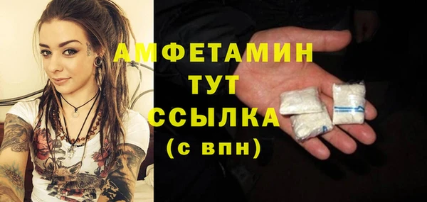 гидропоника Гусь-Хрустальный