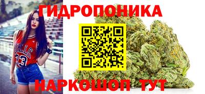 2c-b Пугачёв