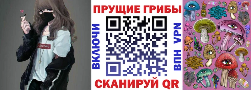 даркнет сайт  Электросталь  Псилоцибиновые грибы мицелий 