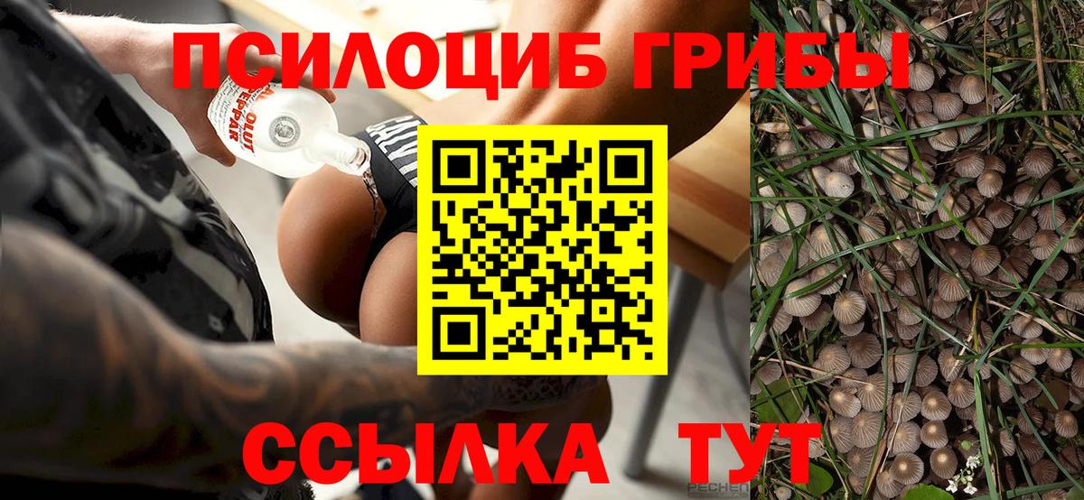 Электросталь  Псилоцибиновые грибы мухоморы  Вход с VPN 